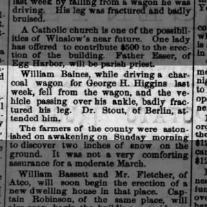 1884 Dr .Stout of Berlin Waterford Township attends Charcoal wagon Driver accident 